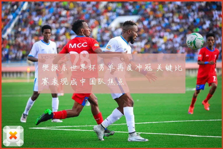 樊振东世界杯男单再度冲冠 关键比赛表现成中国队焦点