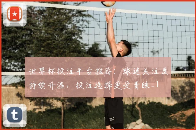 世界杯投注平台推荐:球迷关注度持续升温,投注选择更受青睐_1