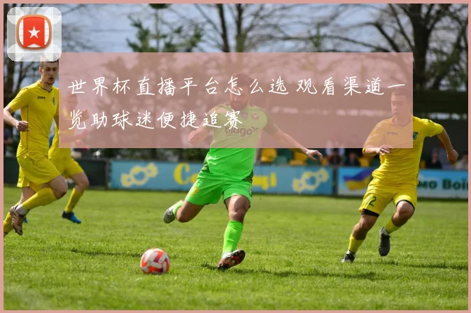 世界杯直播平台怎么选 观看渠道一览助球迷便捷追赛